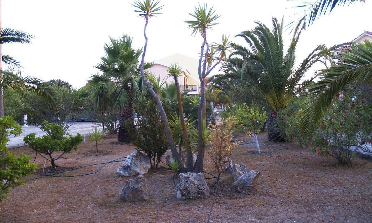 Photo of Outdoor in Kounopetra