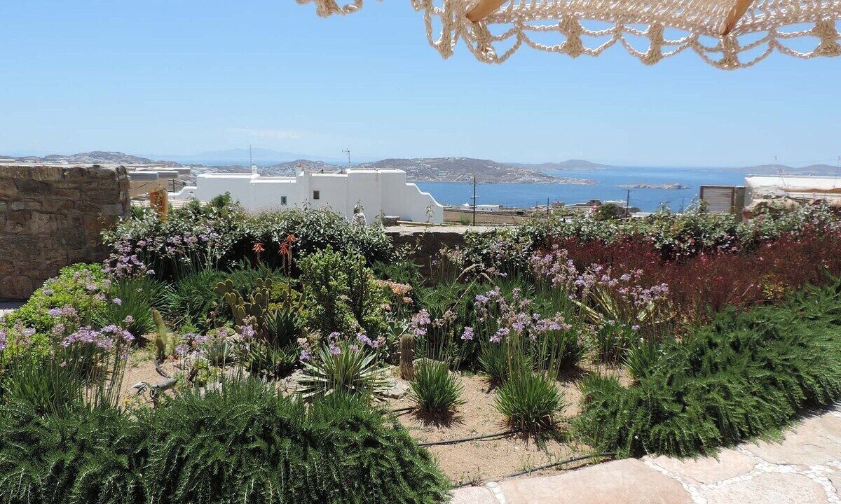 Photo of Outdoor in Tourlos