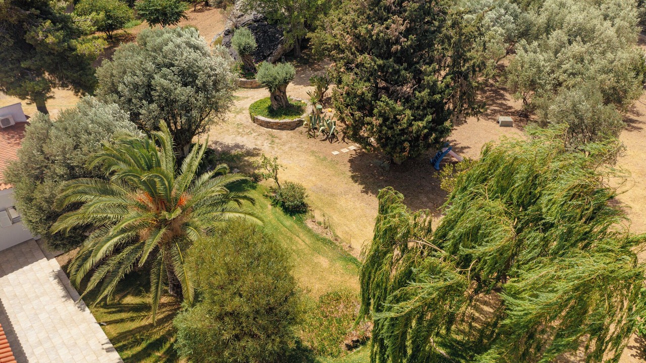 Photo of Outdoor in Amarinthos