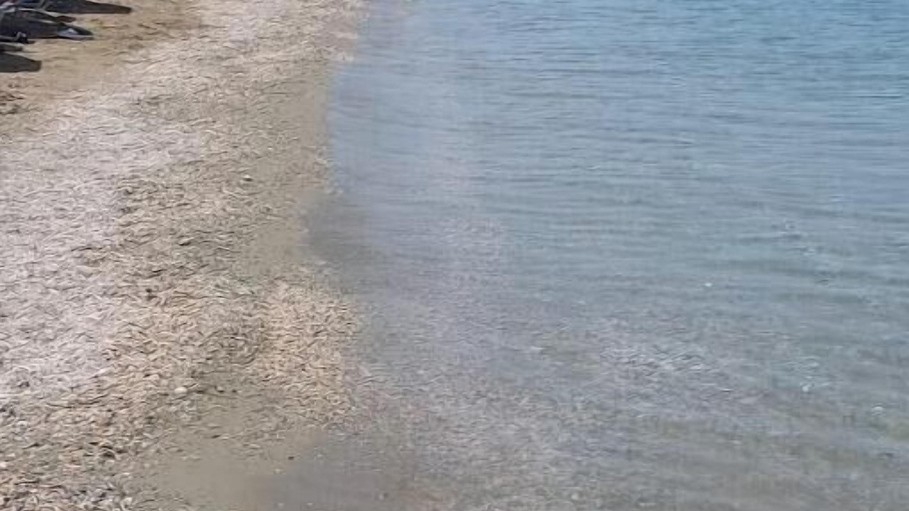 Photo of Others in Kalamos