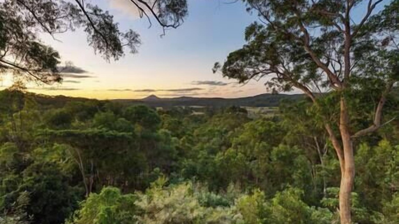 Photo of Others in Yandina Creek