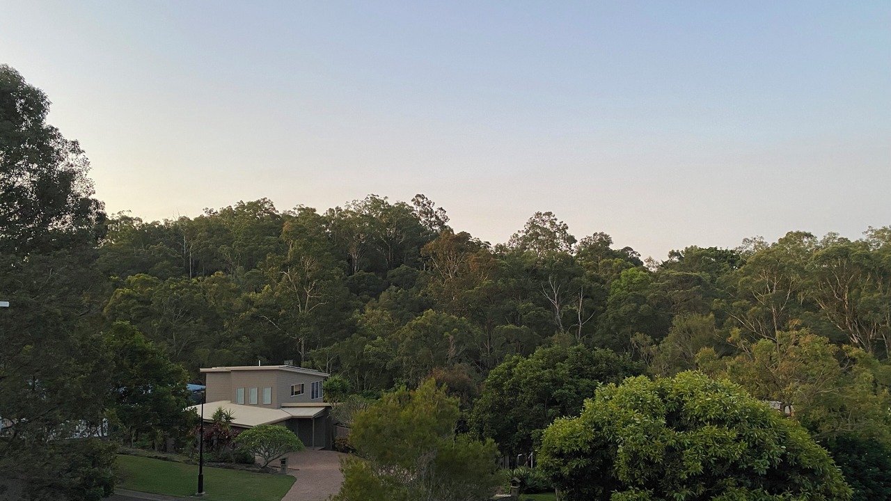 Photo of Others in Reedy Creek