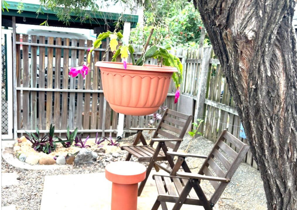 Photo of Patio Balcony in Barney Point
