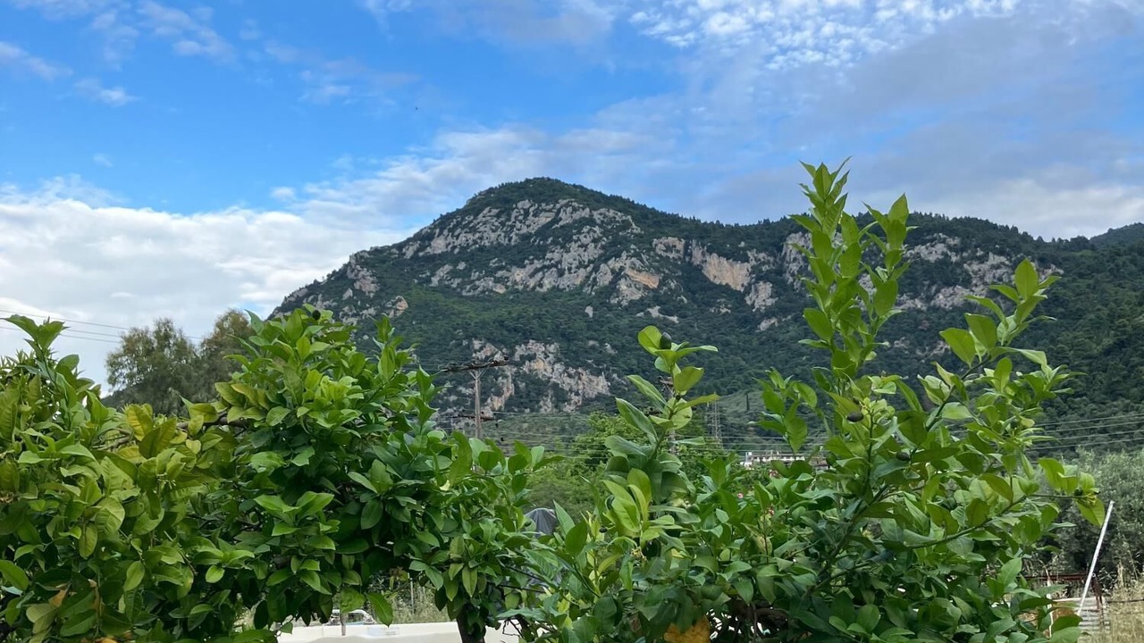 Photo of Outdoor in Kamena Vourla