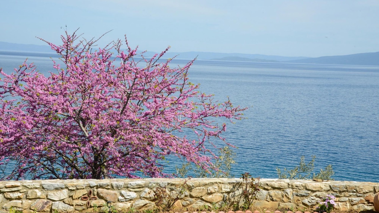 Photo of Outdoor in Sourpi