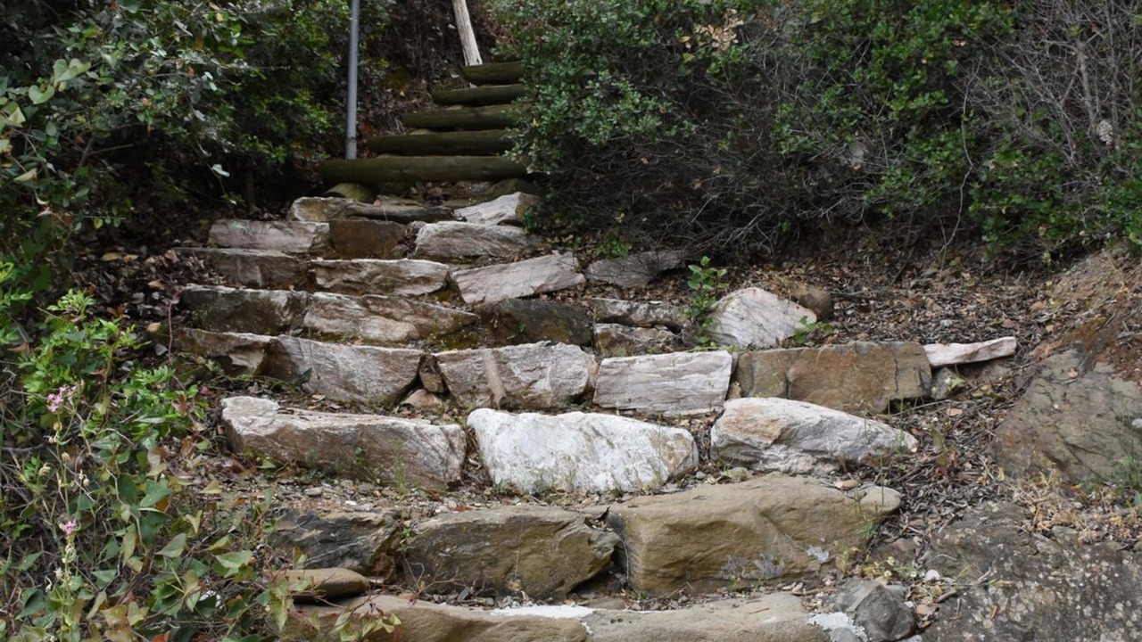 Photo of Outdoor in Sourpi
