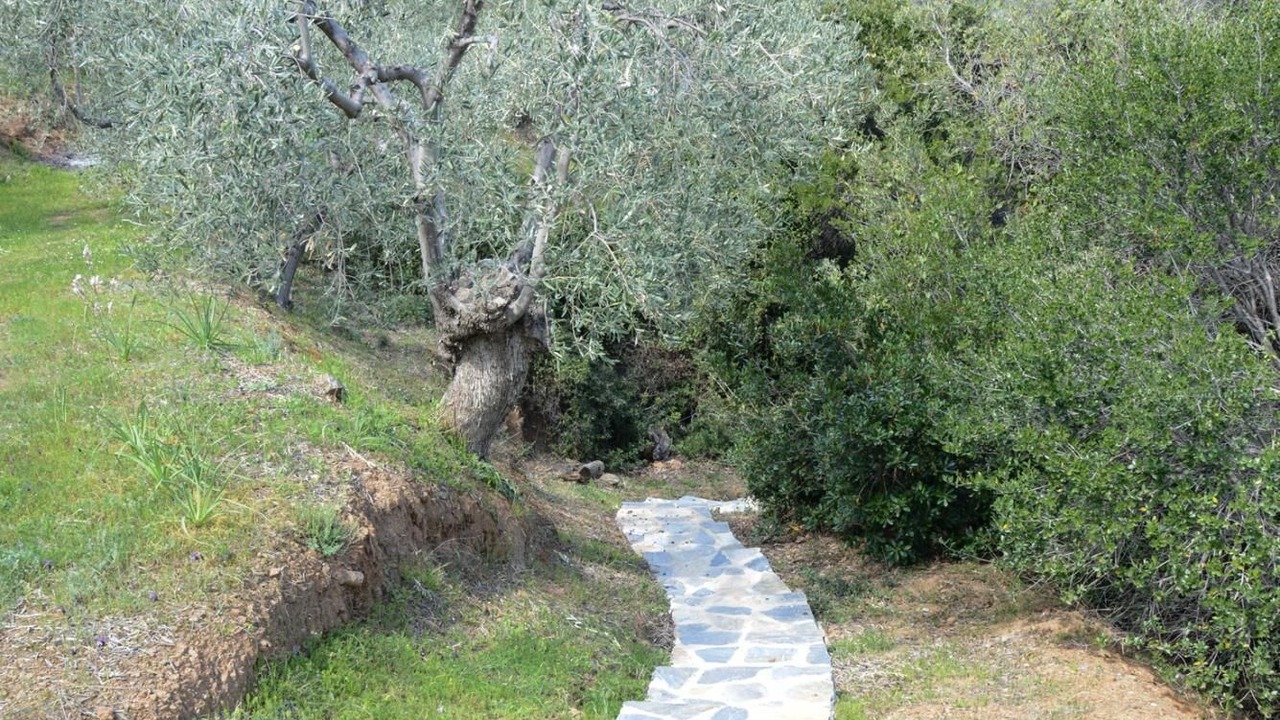 Photo of Outdoor in Sourpi