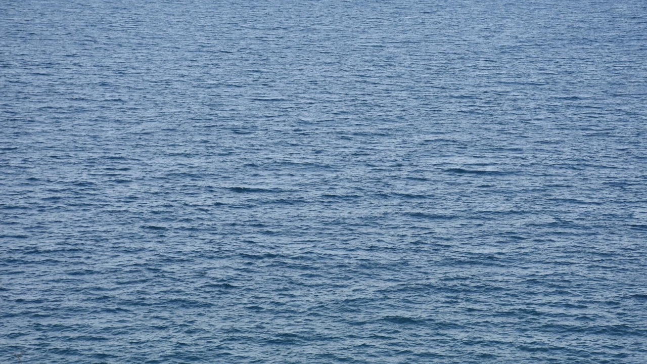 Photo of Others in Sourpi