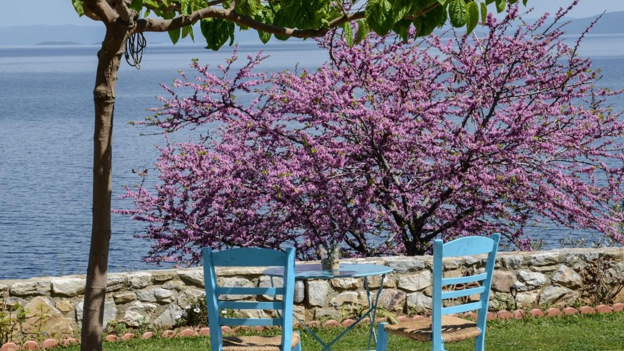 Photo of Outdoor in Sourpi