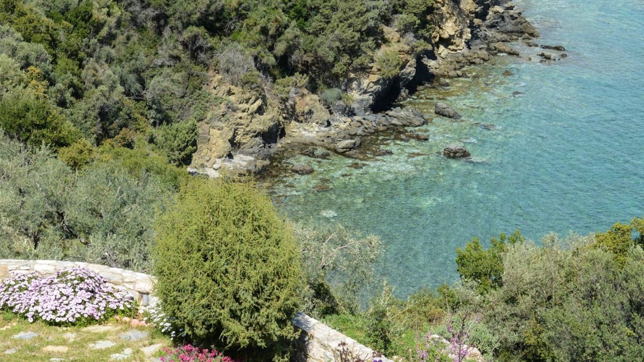 Photo of Outdoor in Sourpi