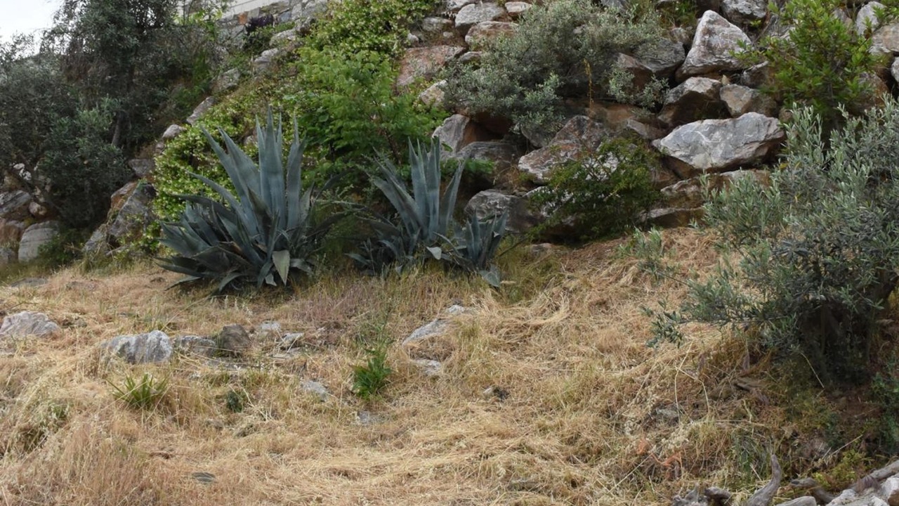 Photo of Outdoor in Sourpi