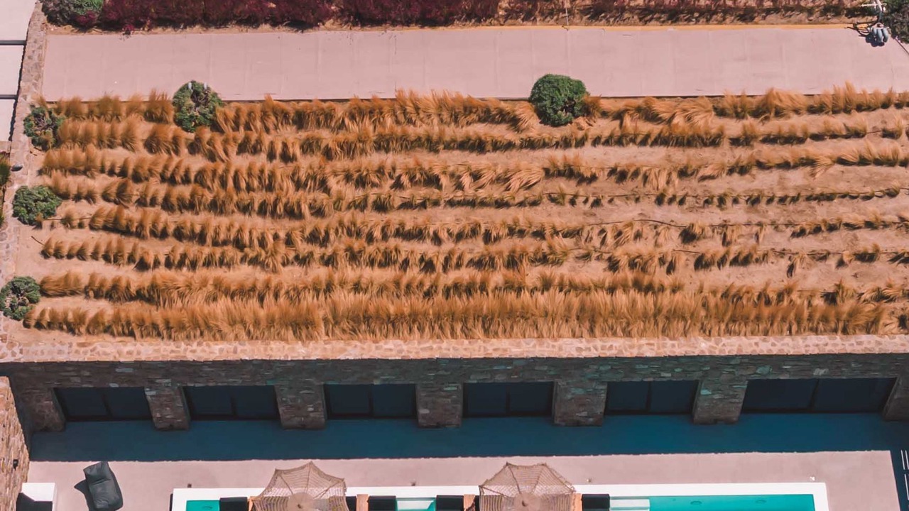 Photo of Outdoor in Ornos