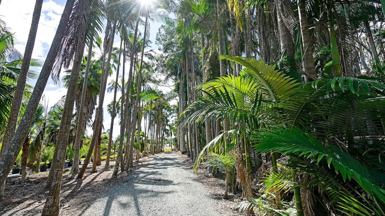Photo of Outdoor in Tamborine