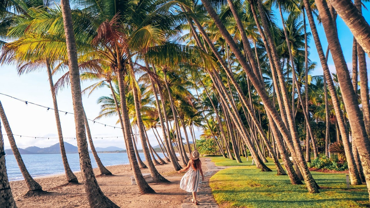 Photo of Others in Palm Cove