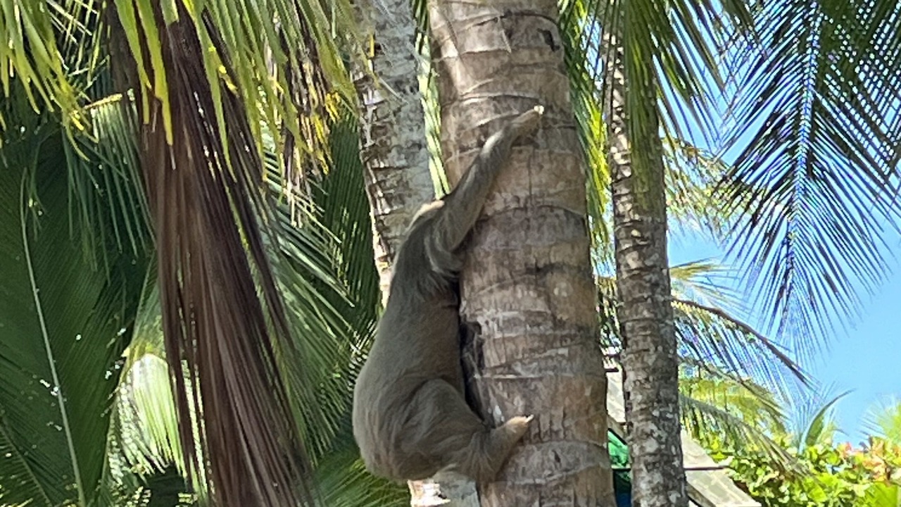 Photo of Outdoor in Puntarenas