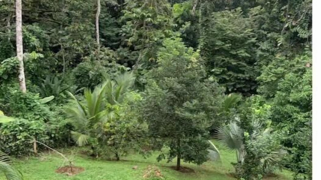 Photo of Outdoor in El Tanque