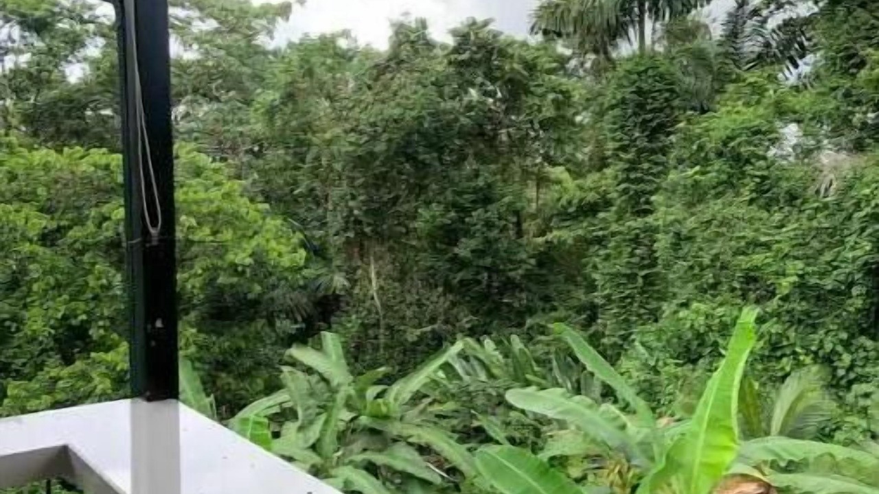Photo of Outdoor in El Tanque