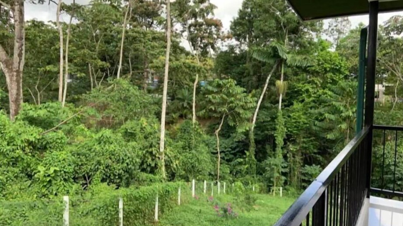Photo of Outdoor in El Tanque