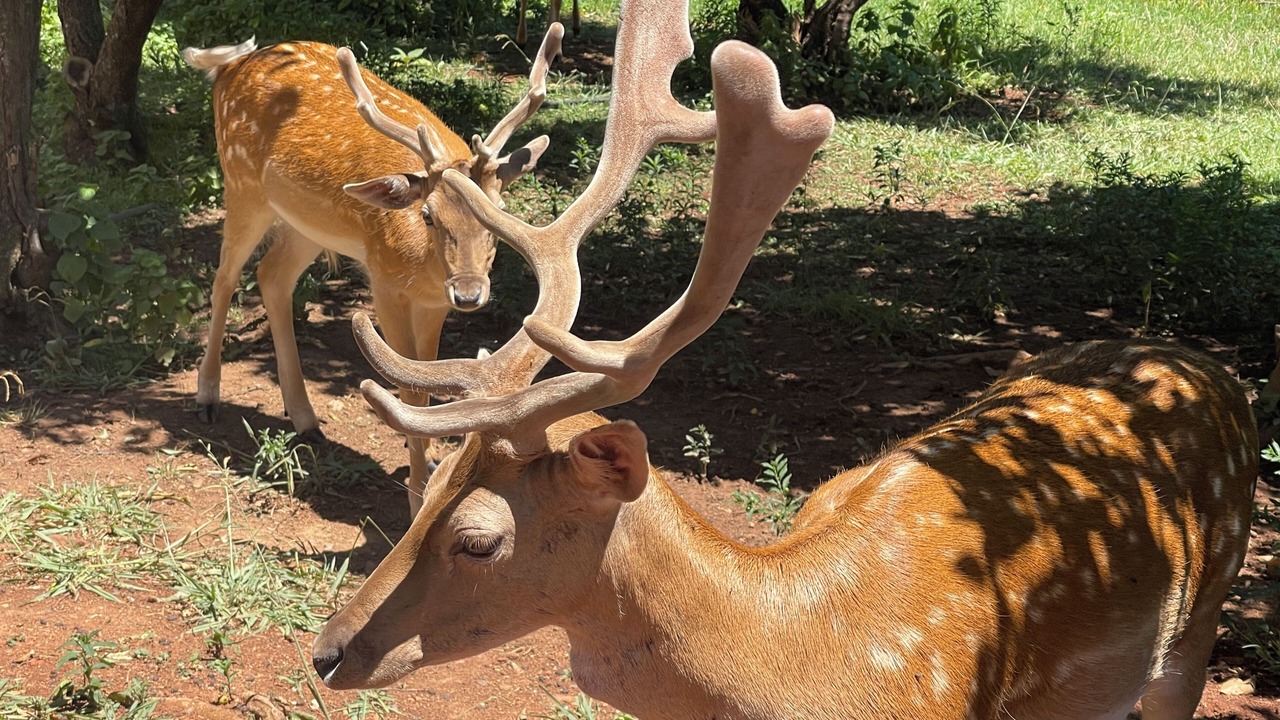 Photo of Outdoor in Pretoria