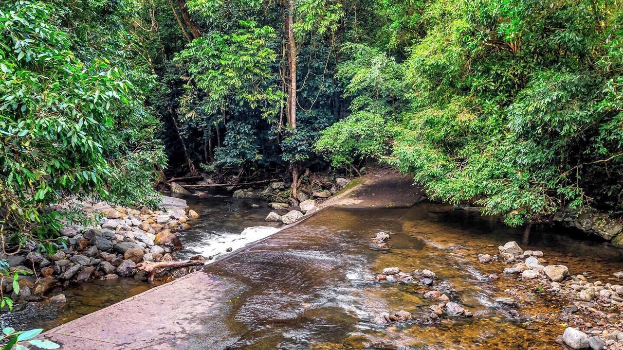 Photo of Outdoor in Kamerunga