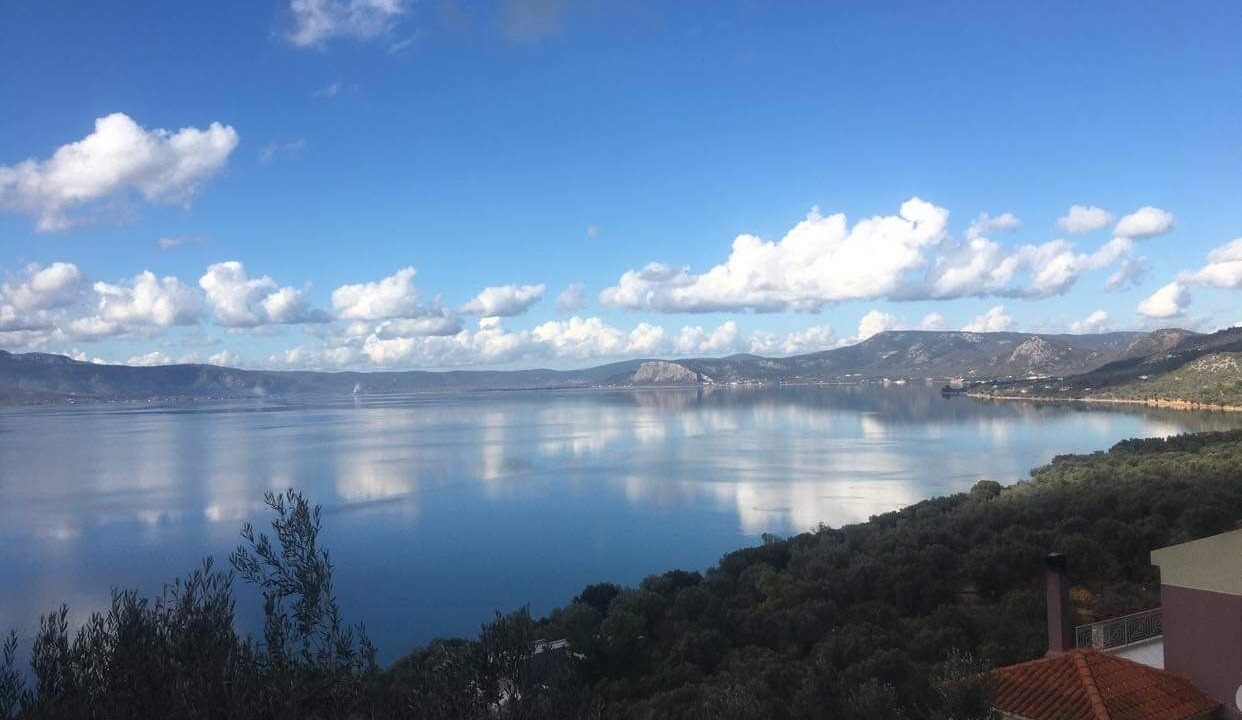 Photo of Others in Mytilene
