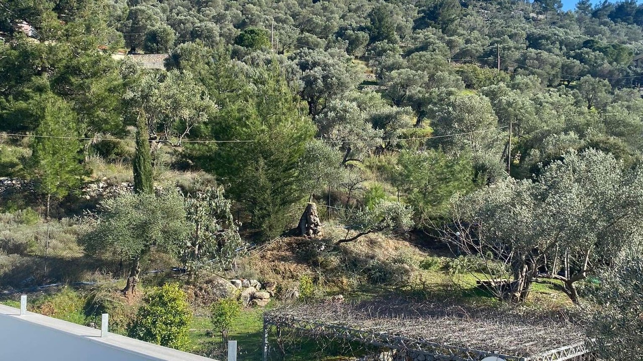 Photo of Outdoor in Mytilene