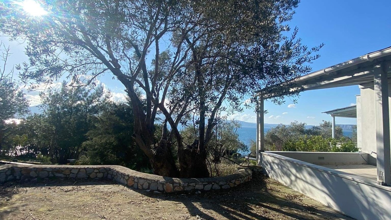 Photo of Outdoor in Mytilene