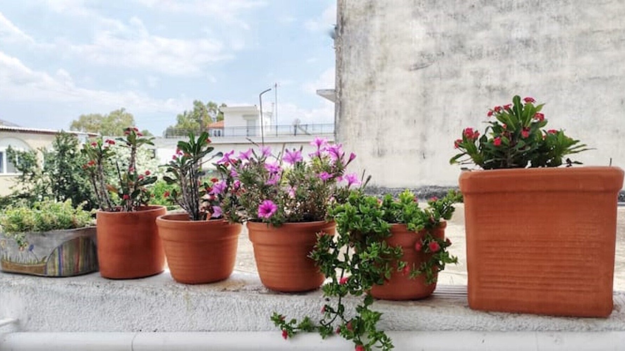 Photo of Outdoor in Amarinthos
