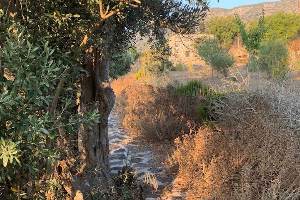 Photo of Others in Nisyros