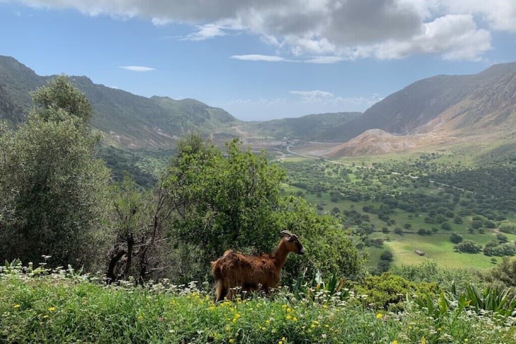 Photo of Outdoor in Nisyros