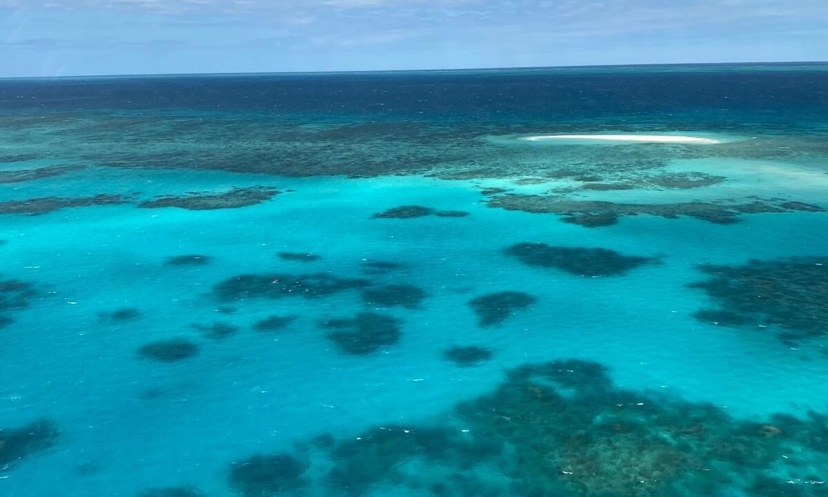 Photo of Others in Trinity Beach