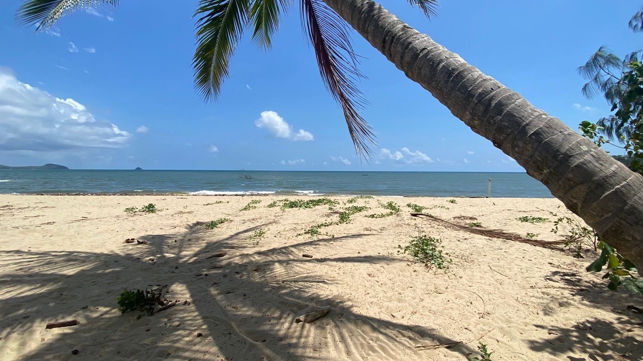 Photo of Others in Trinity Beach