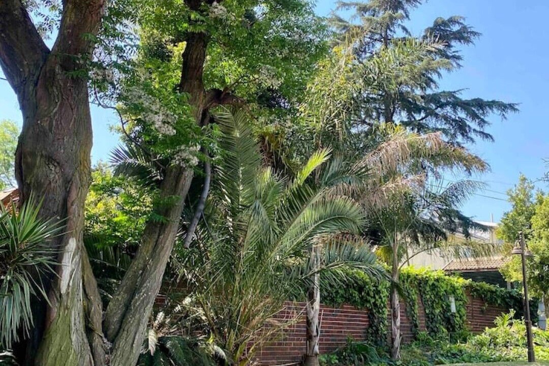 Photo of Outdoor in Edenvale