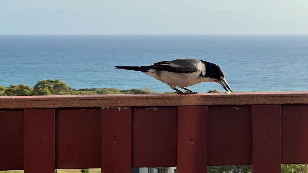 Photo of Outdoor in Orchid Beach