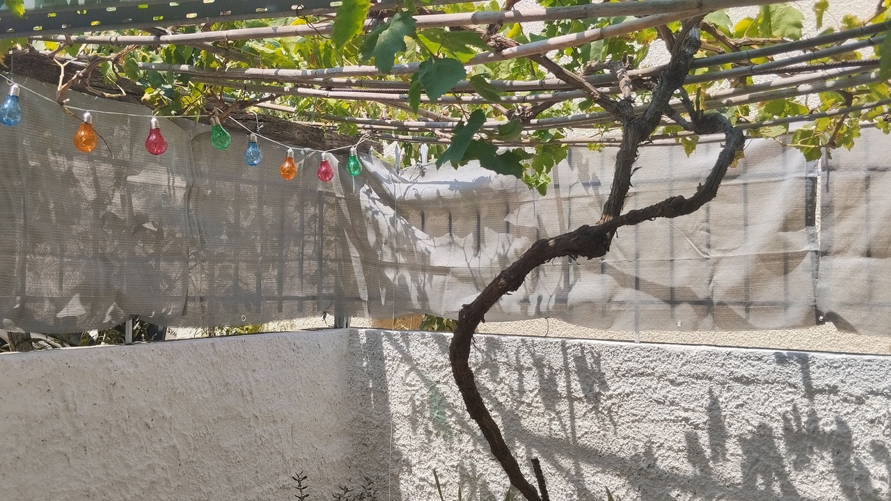 Photo of Others in Acharnes