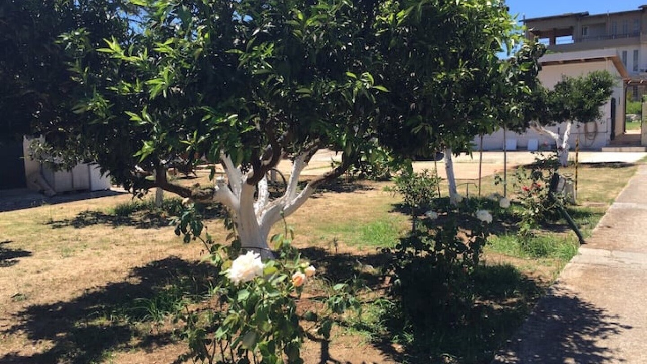 Photo of Outdoor in Mytikas