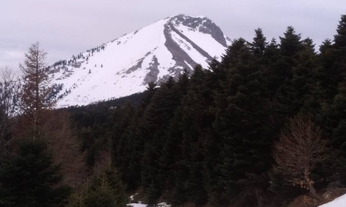 Photo of Others in Khalkis