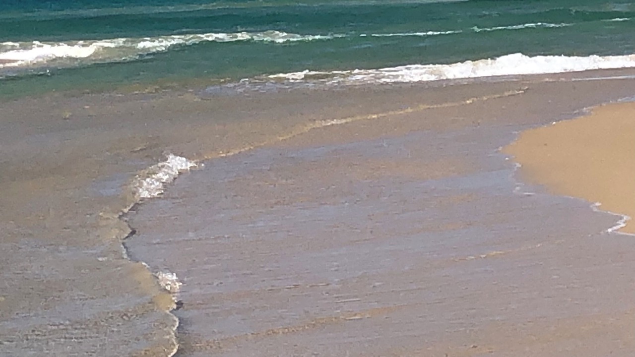 Photo of Others in Orchid Beach
