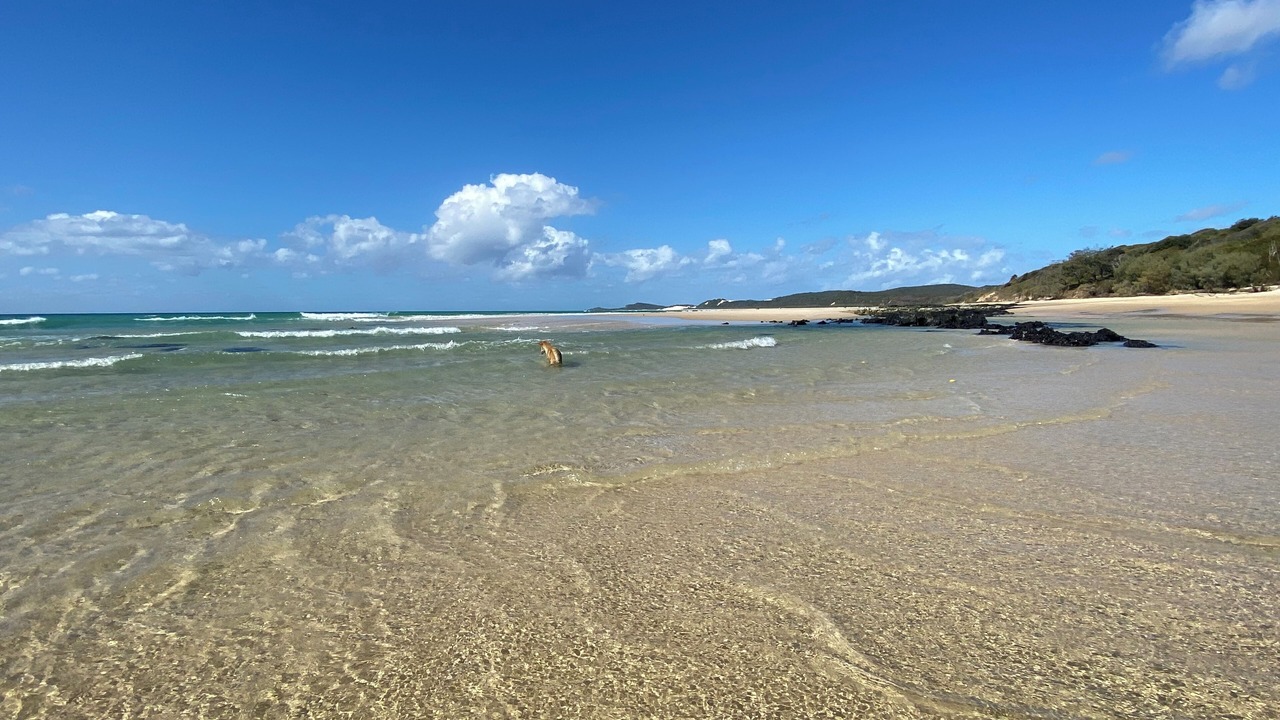 Photo of Others in Orchid Beach