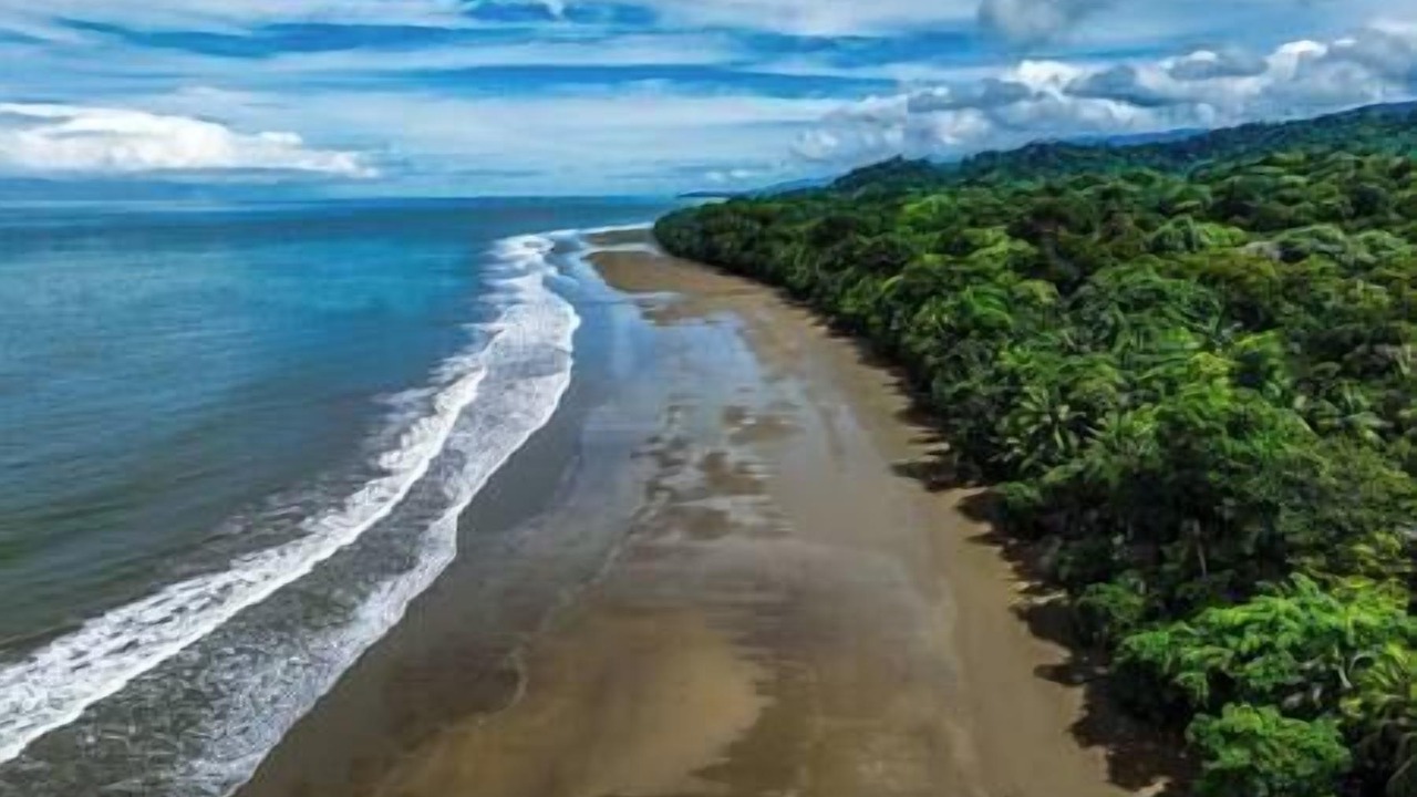 Photo of Others in Uvita