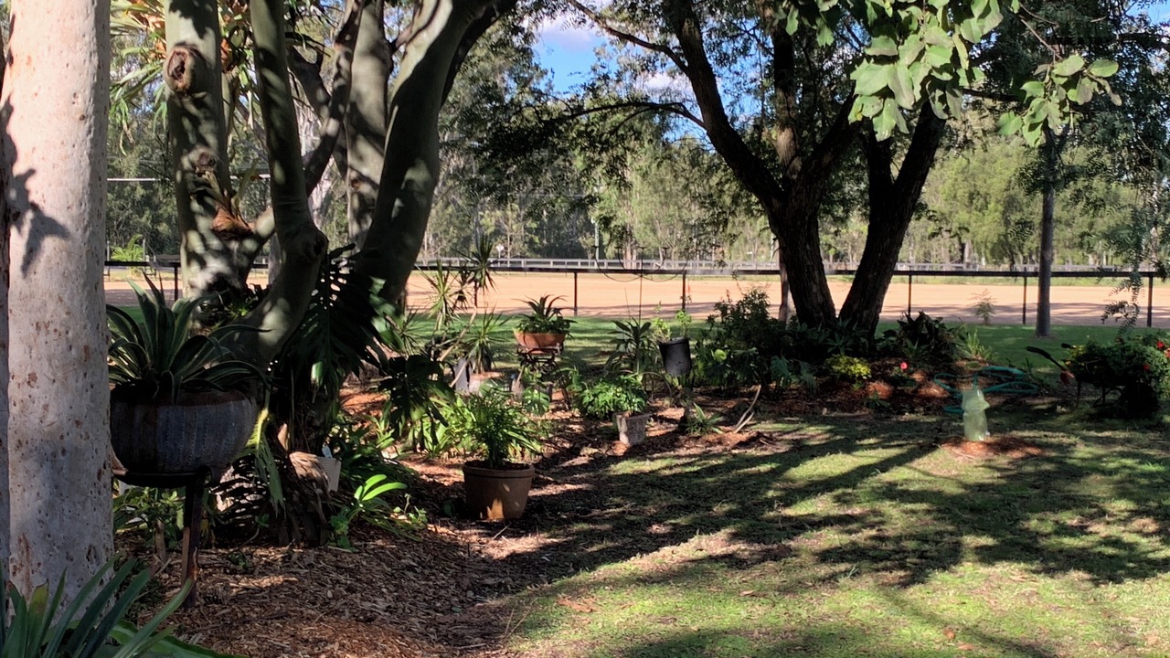 Photo of Outdoor in Shire of Gatton