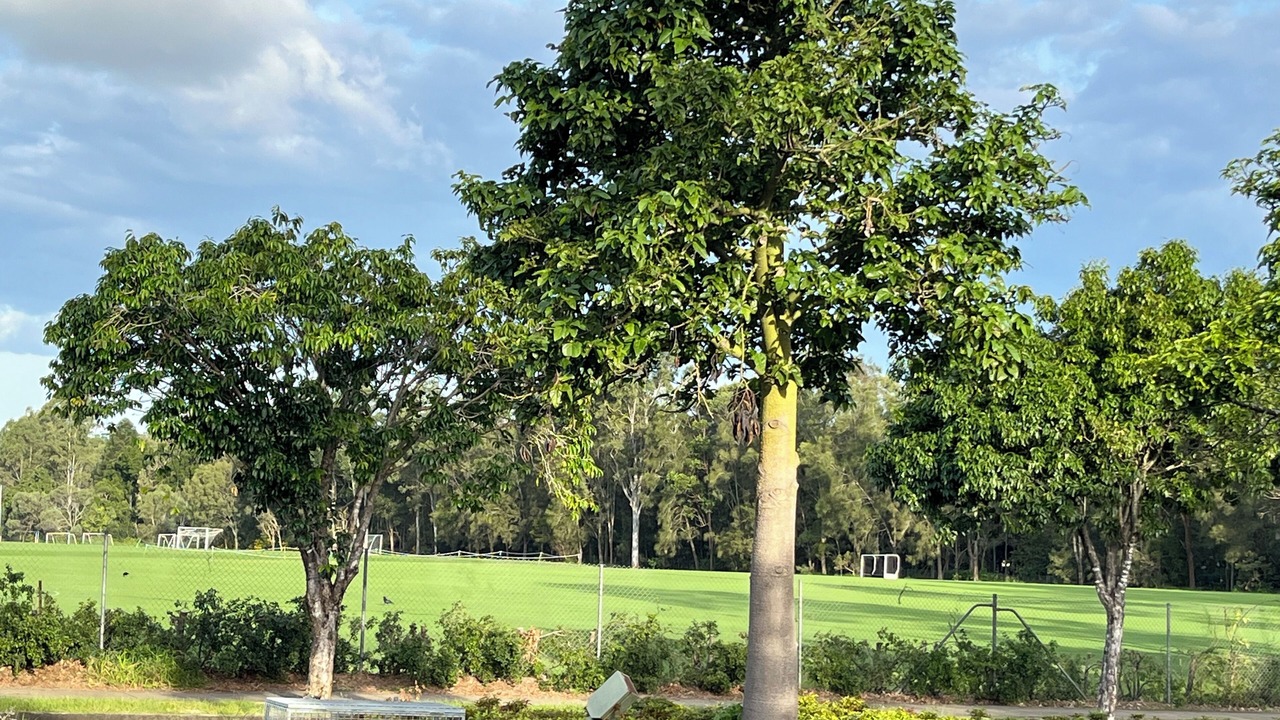 Photo of Outdoor in Daisy Hill