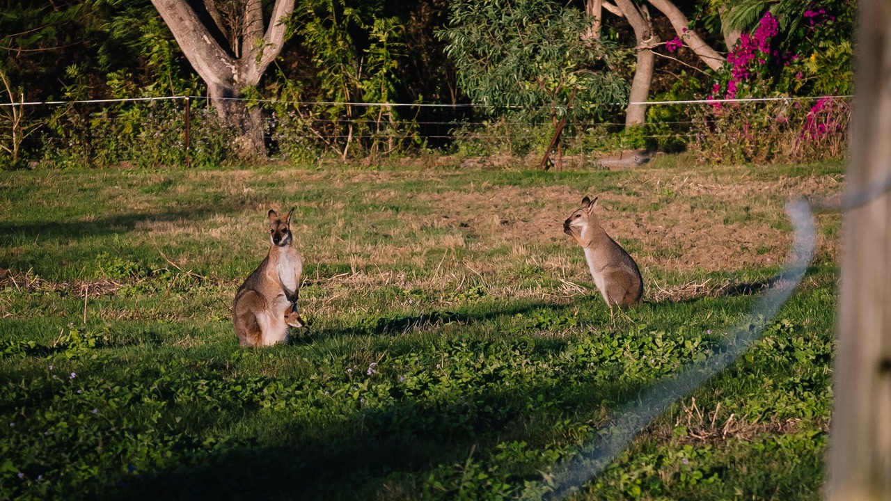 Photo of Outdoor in Thornlands