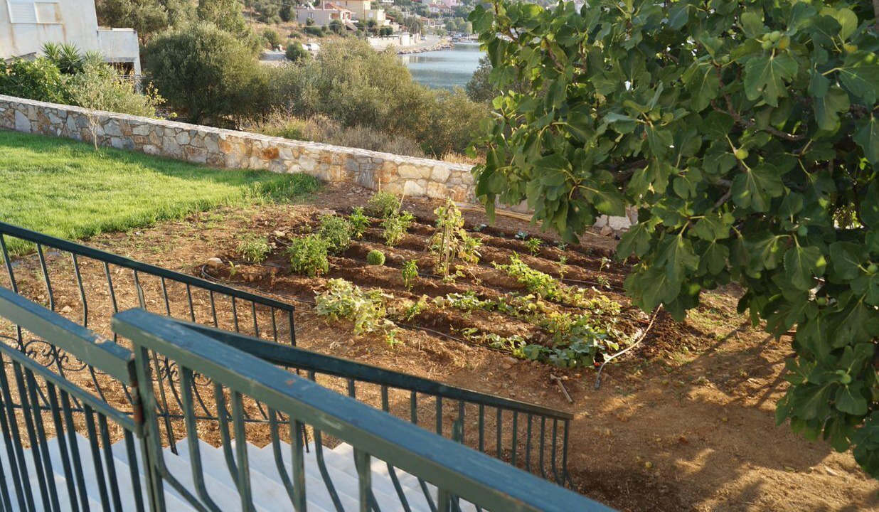 Photo of Outdoor in Kymi-Aliveri