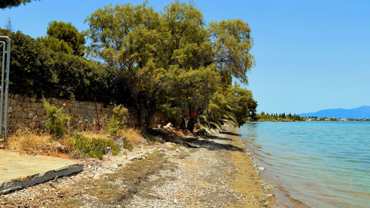 Photo of Others in Lokroi