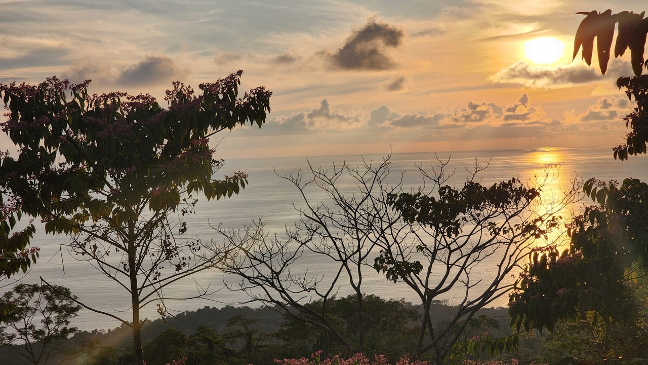 Photo of Others in Uvita