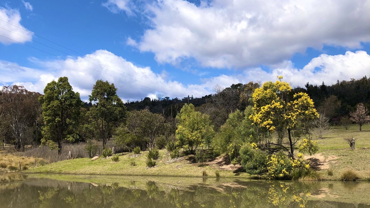 Photo of Others in Wyberba