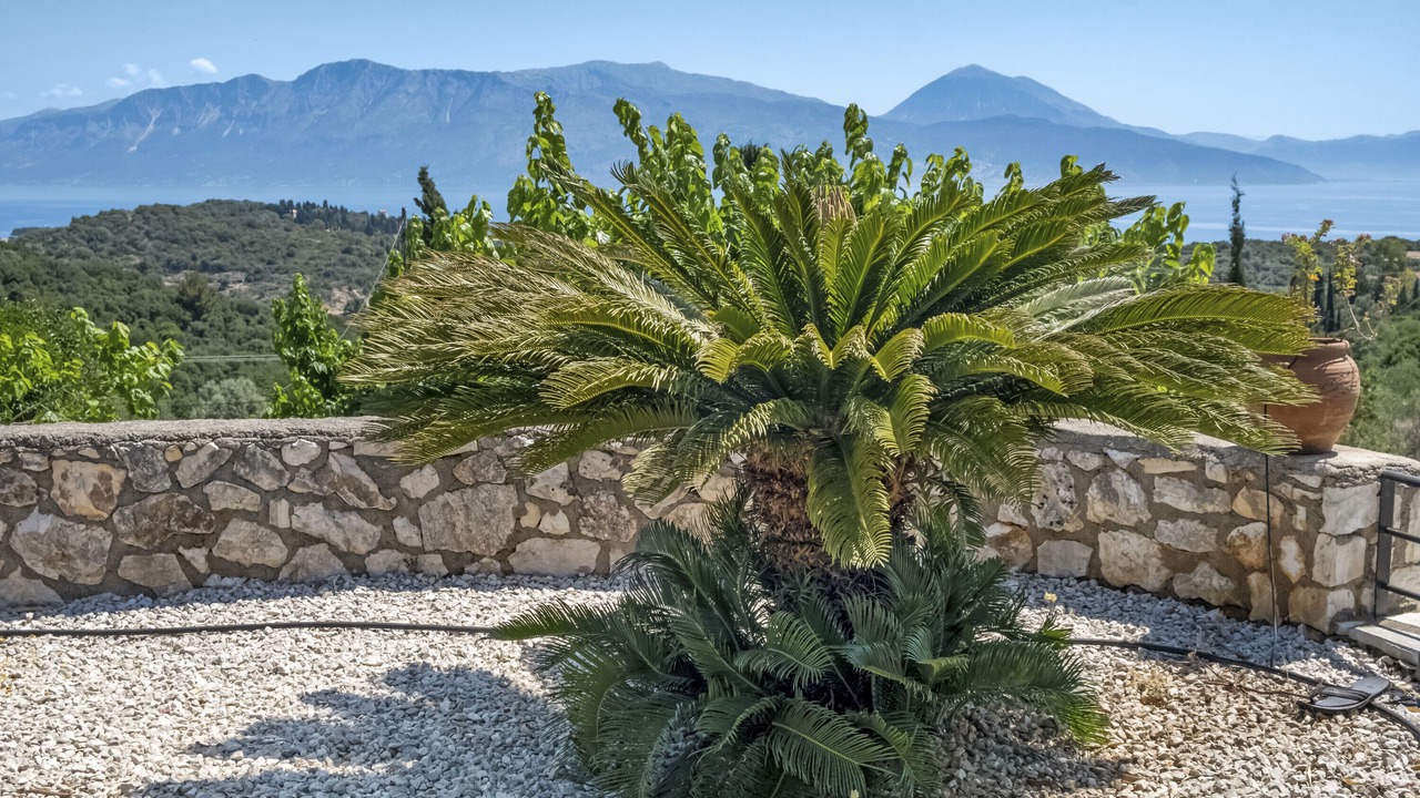 Photo of Outdoor in Katomerion