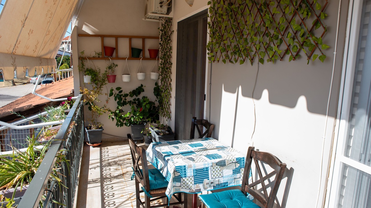 Photo of Outdoor in Stylida