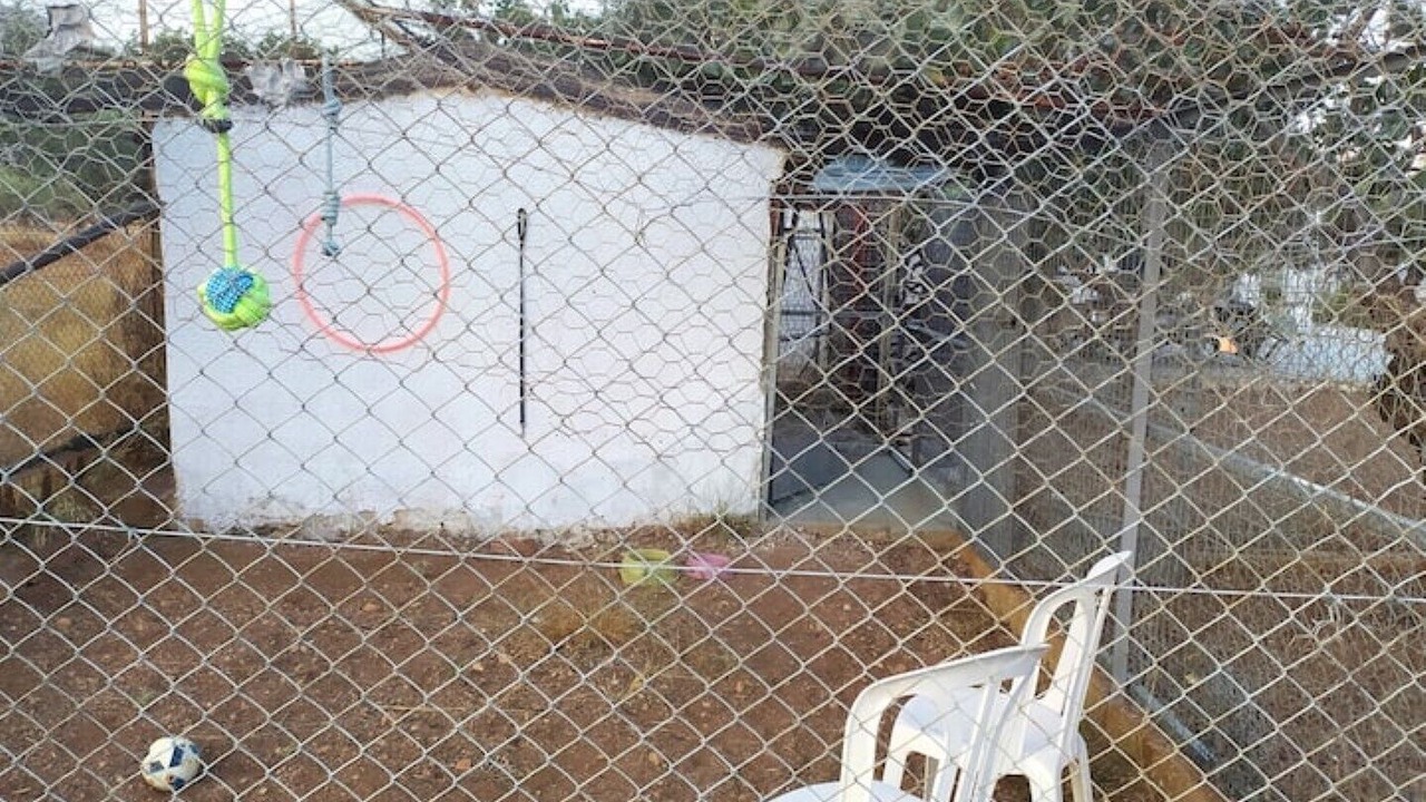 Photo of Others in Kineta
